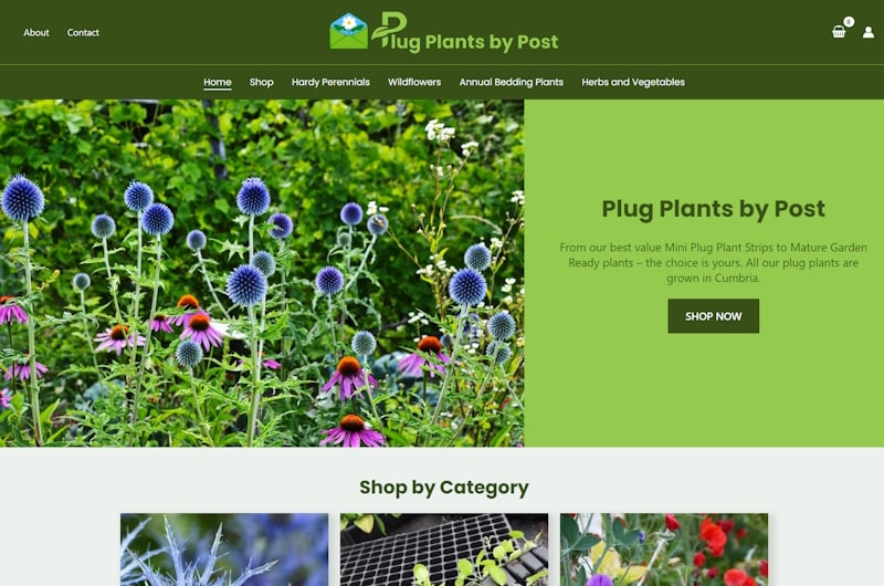 Home Page